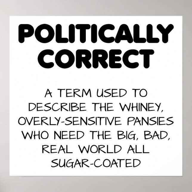 Póster Divertido Políticamente Correcto (Frente)