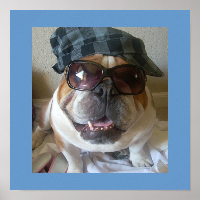 Póster Divertido Poster de Bulldog inglés (Frente)