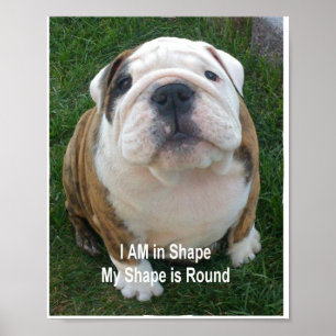 Póster Divertido Poster de perro Mascota de Bulldog perro