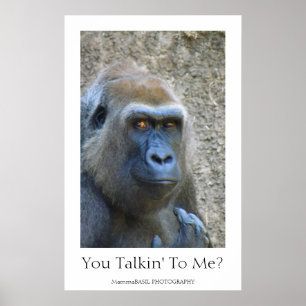 Póster ¡Divertido Poster Gorila!