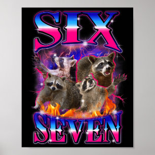 Póster Divertido Seis Siete 67 Meme 67 Mapache Meme Contr