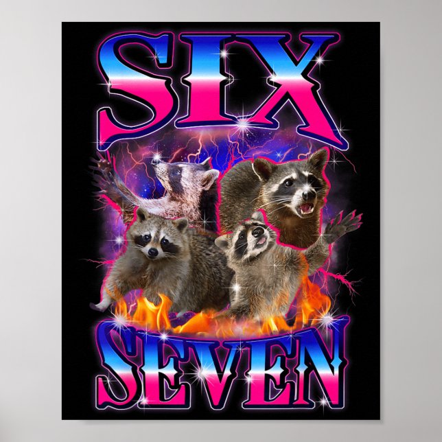 Póster Divertido Seis Siete 67 Meme 67 Mapache Meme Contr (Frente)