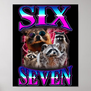 Póster Divertido Seis Siete 67 Meme 67 Mapache Meme Contr