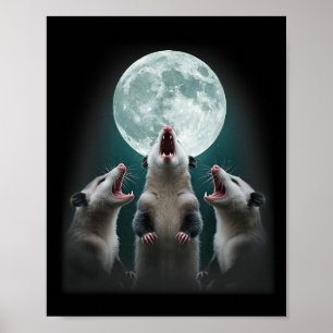 Póster Divertido Tres Luna De Possum _ 3 Luna De Opossum 