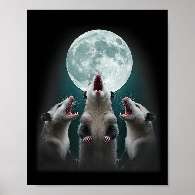 Póster Divertido Tres Luna De Possum _ 3 Luna De Opossum  (Frente)