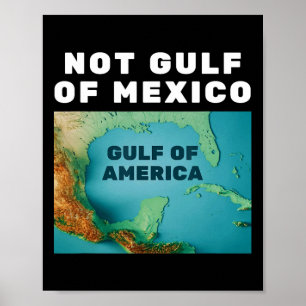 Póster Divertido Trump Golfo de Estados Unidos, no Golfo