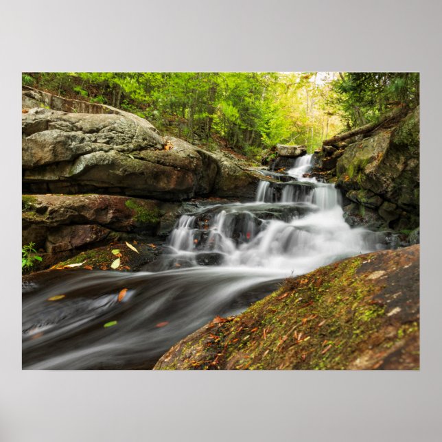 Póster Dividir caídas en la carrera de primavera de arena (Frente)