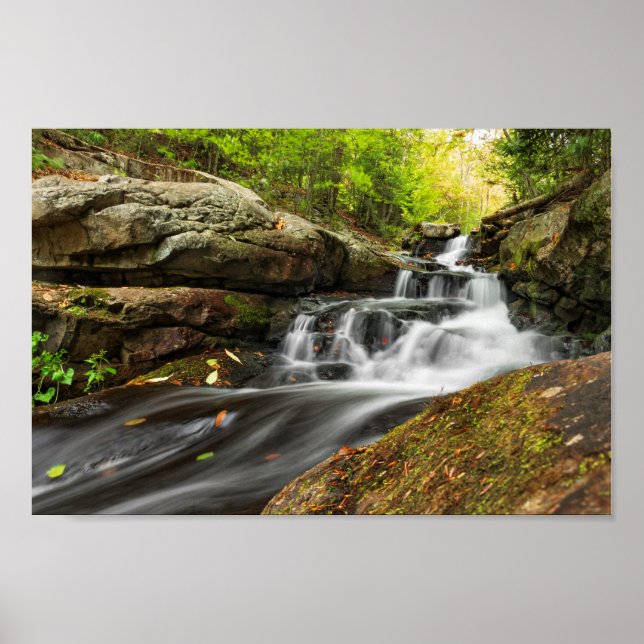 Póster Dividir caídas en la carrera de primavera de arena (Frente)