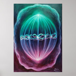 Póster División celular