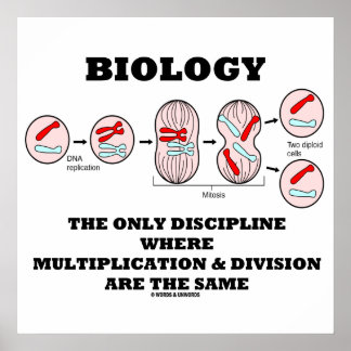 Póster División de Multiplicación de Disciplina Sólo Biol