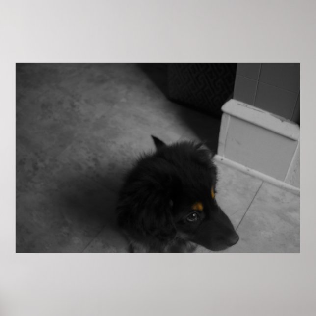 Póster Divo B&W (Frente)