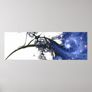 Póster Divulgación