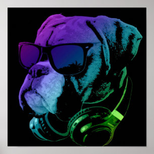 Póster DJ Boxer Dog Wall Art   Presente especial