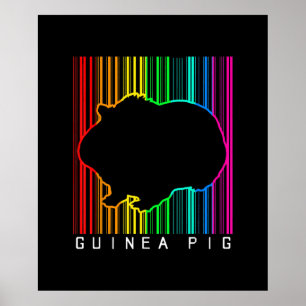Póster DJ Guinea Pig Techno Edm Animal Rave Star Rainbow
