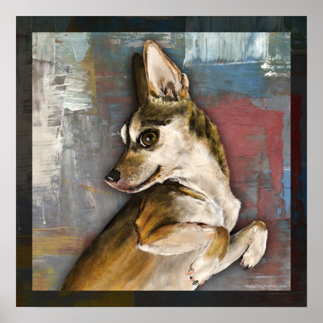 Póster Dmbo (Frente)