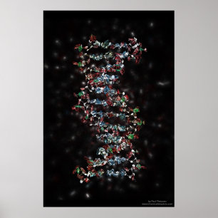 Póster DNA Jewelled