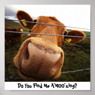 Póster Do You Find Me A'MOO'zing?