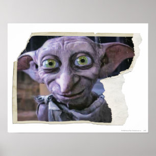 Póster Dobby 1