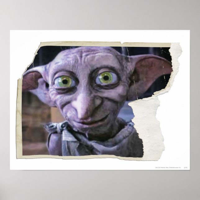 Póster Dobby 1 (Frente)