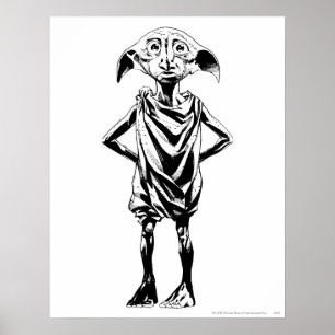 Póster Dobby 2