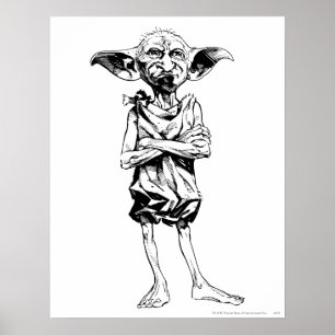 Póster Dobby 3