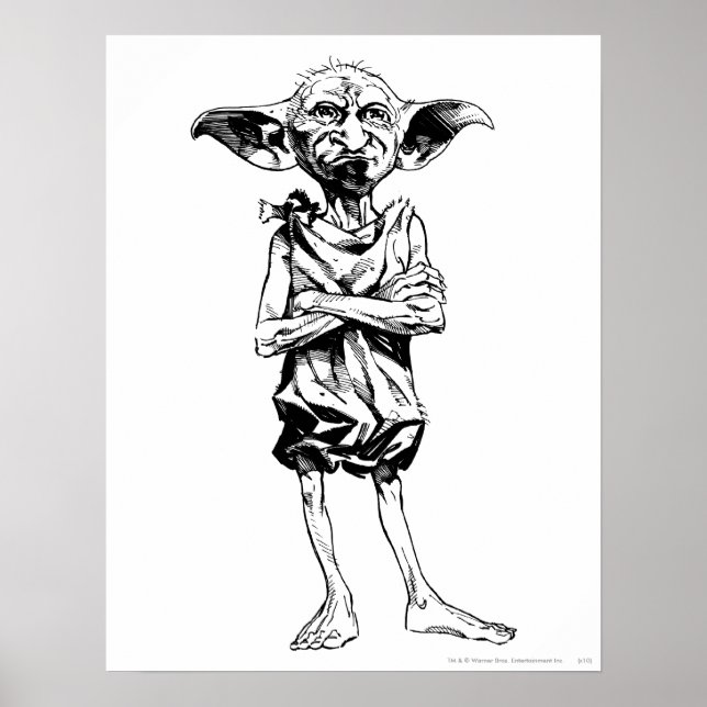 Póster Dobby 3 (Frente)