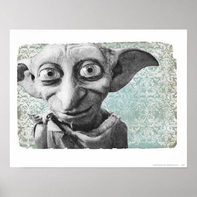 Póster Dobby 4 (Frente)