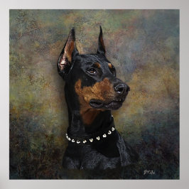Póster Doberman