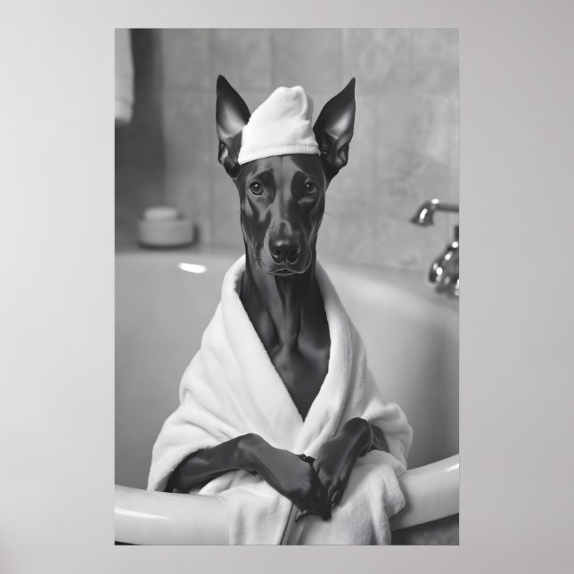 Póster Doberman in Bathrobe, Funny Bathroom Art (Frente)