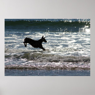 Póster Doberman - Negro - Salto oceánico