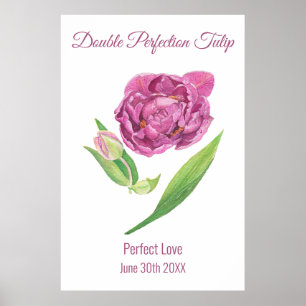 Póster Doble perfección tulipán rosa magenta acuarela