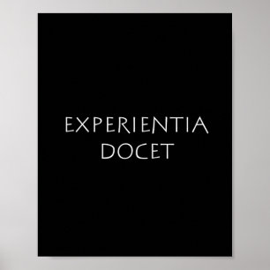 Póster Docente de Experientia