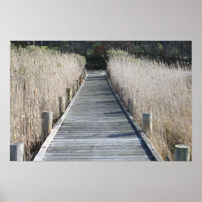 Póster Dock (Frente)