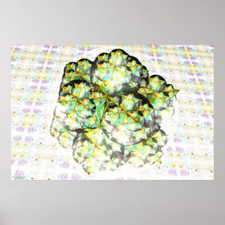 Póster Dodecaedro estelado Fractal