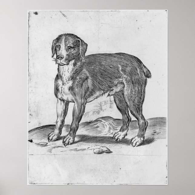 Póster Dog (Frente)