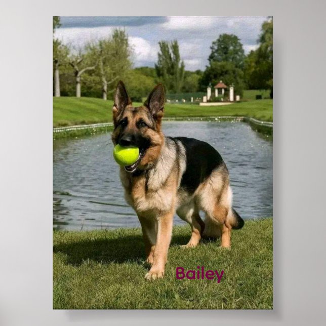 Póster Dog Bathroom Wall Art, Boxer Taking a Bath Poster (Frente)