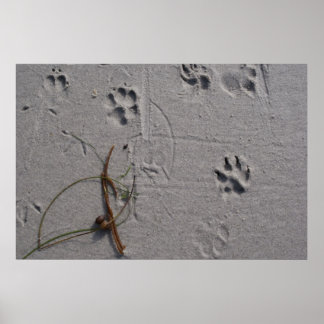 Póster Dog-Day Afternoon