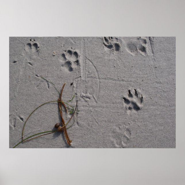 Póster Dog-Day Afternoon (Frente)