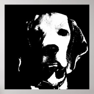 Póster Dog face