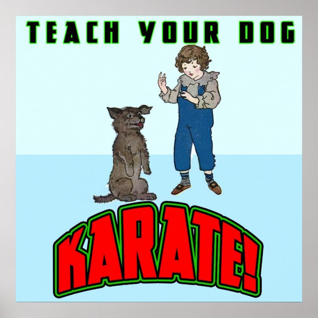 Póster Dog Karate 2 Poster (Frente)