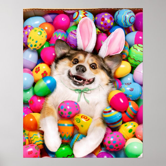 Póster Dog Laying on Easter Eggs (Frente)