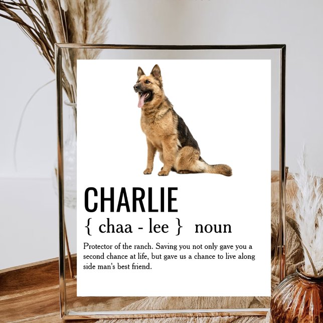 Póster Dog Noun Definition Dog Mom Dad Dog Lover (Subido por el creador)