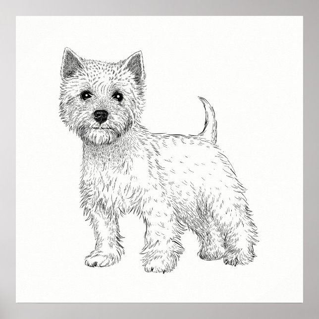 Póster Dog Poster / Wall Art West Highland Terrier (Frente)