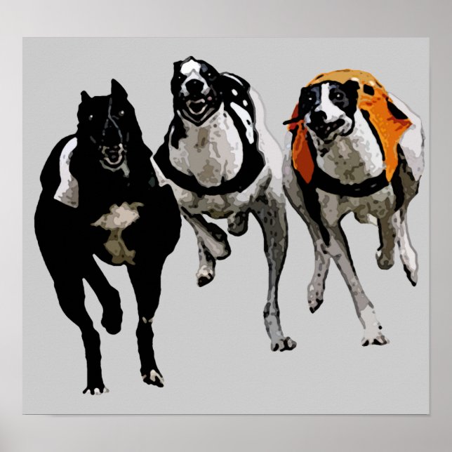 PÓSTER DOG RACE GREYHOUND (Frente)