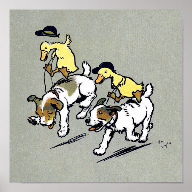 Póster Dog-riding ducks (Frente)