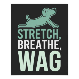 Póster Doga Yoga Canino Bienestar Pet Estiramiento Consci