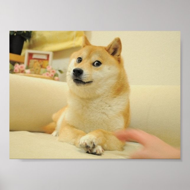 Póster Doge poster (Frente)