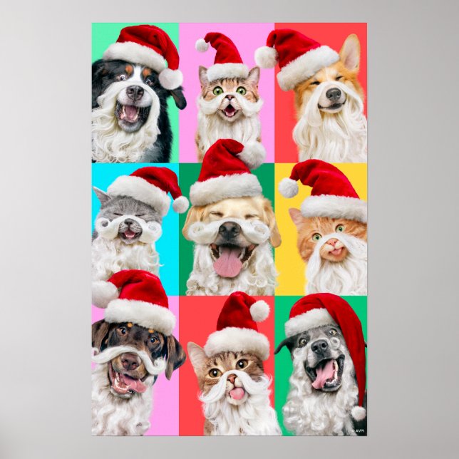 Póster Dogs and Cats with Santa Beard (Frente)