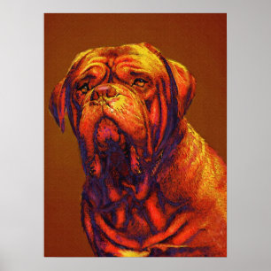 Póster dogue de bordeaux