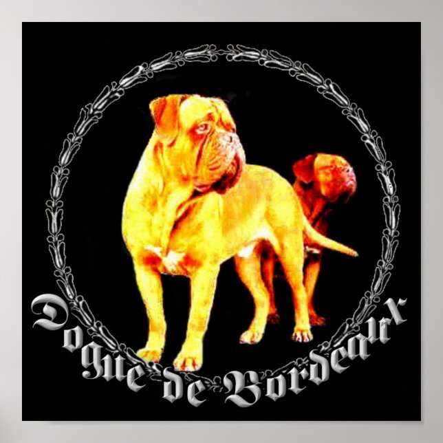 Póster Dogue de Bordeaux poster (Frente)
